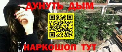 стаф Кимры